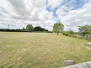 Paddock- click for photo gallery